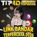 TIP4D